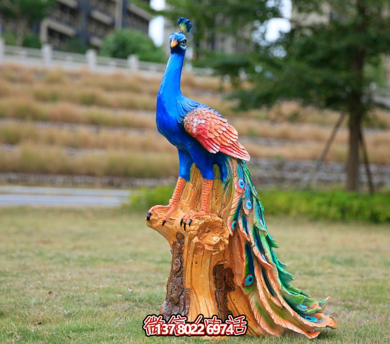 彩繪孔雀玻璃鋼雕塑，為公園街道擺放添彩
